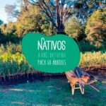 Pack 60 Arboles Nativos Raiz Desnuda